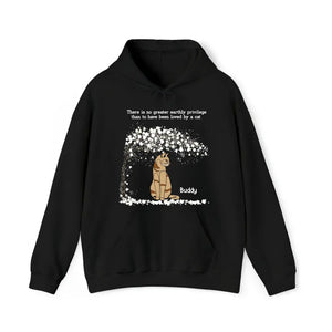 Personalized Upload Your Cat Photo Cat Lovers Gifts Custom Name Hoodie 2D Printed VQ231574