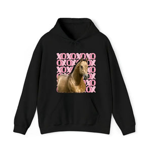 Personalized Upload Your Horse Photo Xoxo Horse Lovers Gift Sweatshirt or Hoodie 2D Printed LVA24166