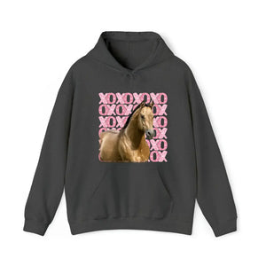 Personalized Upload Your Horse Photo Xoxo Horse Lovers Gift Sweatshirt or Hoodie 2D Printed LVA24166