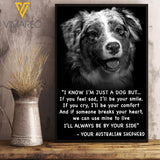 Australian Shepherd Dog VEMS