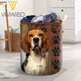 Beagle Dog YWIE