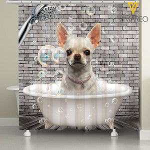 Chihuahua Dog SUER