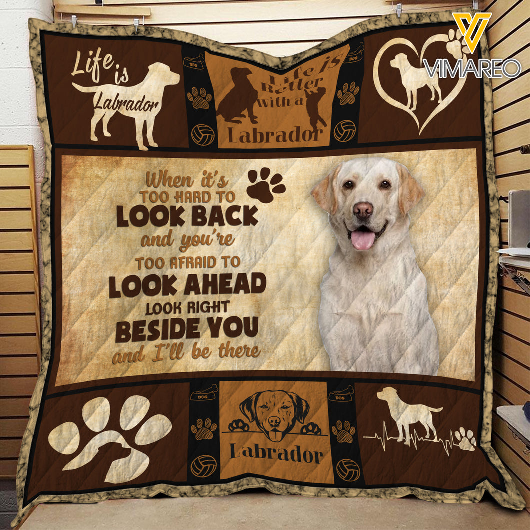 Yellow Labrador Retriever Dog B8H3