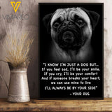 Pug Dog VEMS